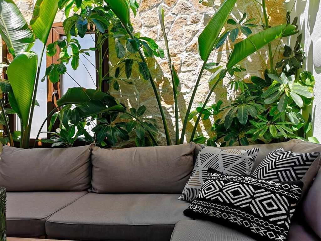 Casa Rural Albireo Rebosante De Luz Y Naturaleza Санлукар-де-Гвадиана Экстерьер фото